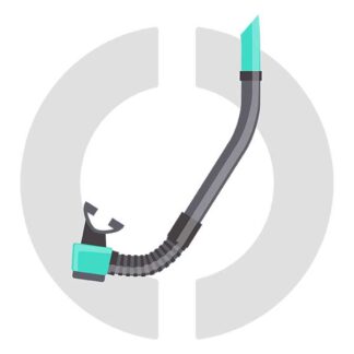 Snorkel